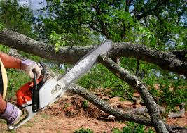 Landscape Design and Installation in Williamson, WV